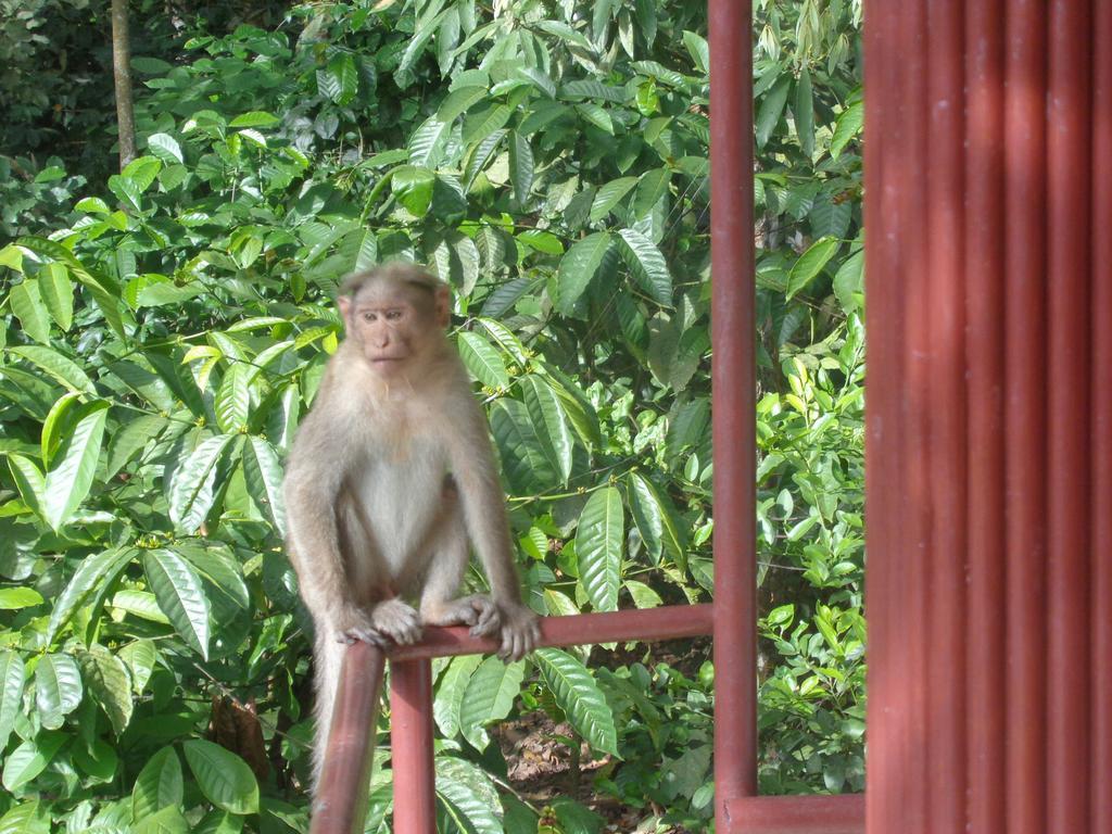 Jungleparadiso Homestay Thekkady Exterior photo