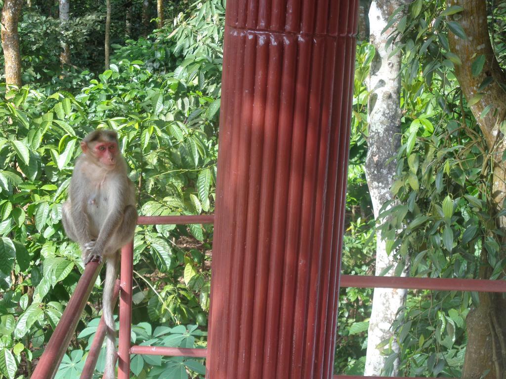 Jungleparadiso Homestay Thekkady Exterior photo