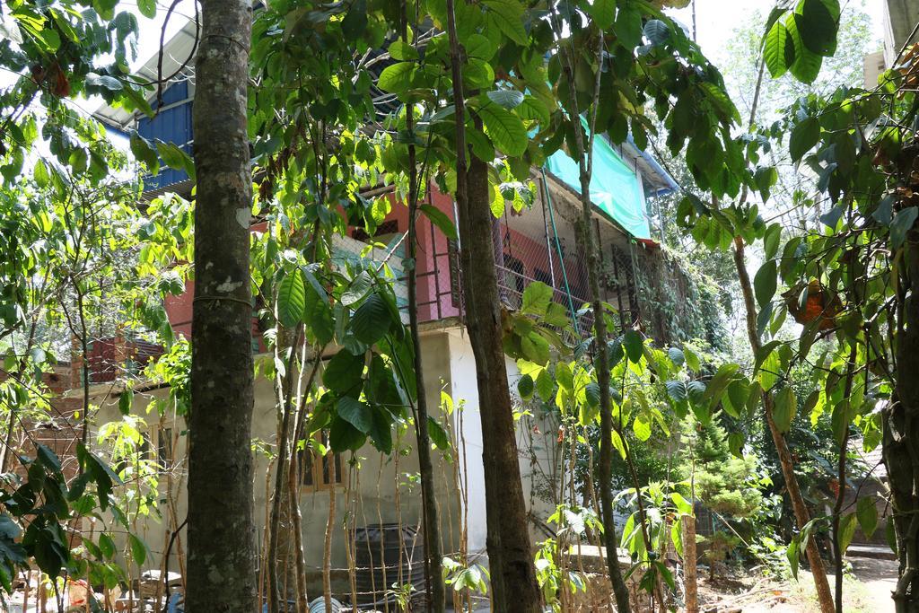 Jungleparadiso Homestay Thekkady Exterior photo