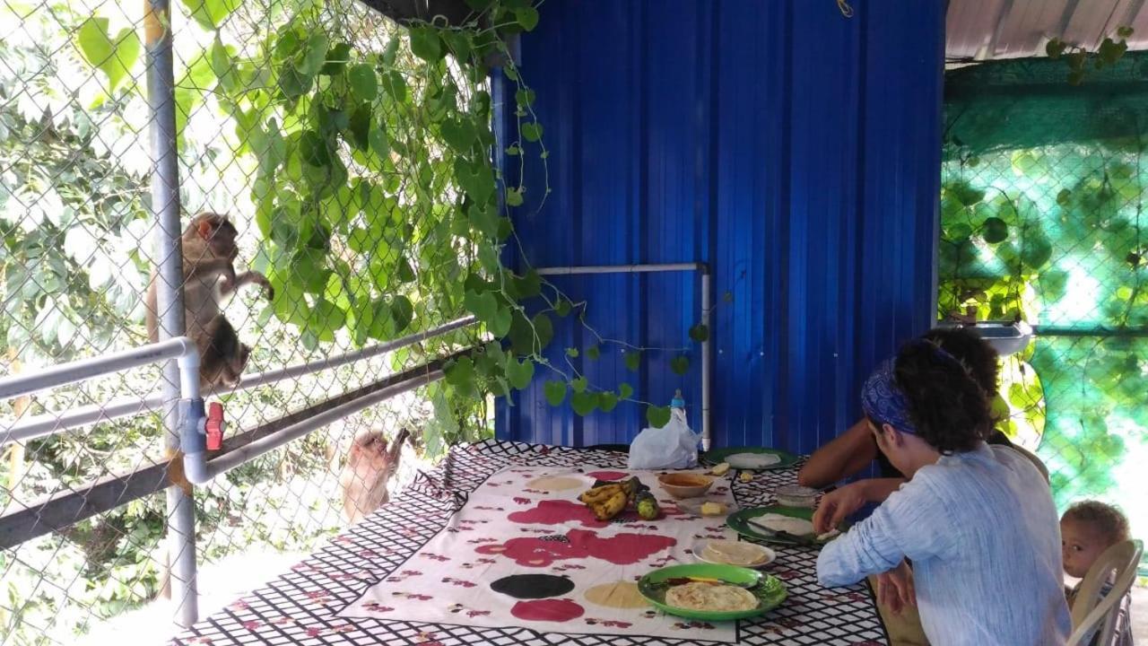 Jungleparadiso Homestay Thekkady Exterior photo